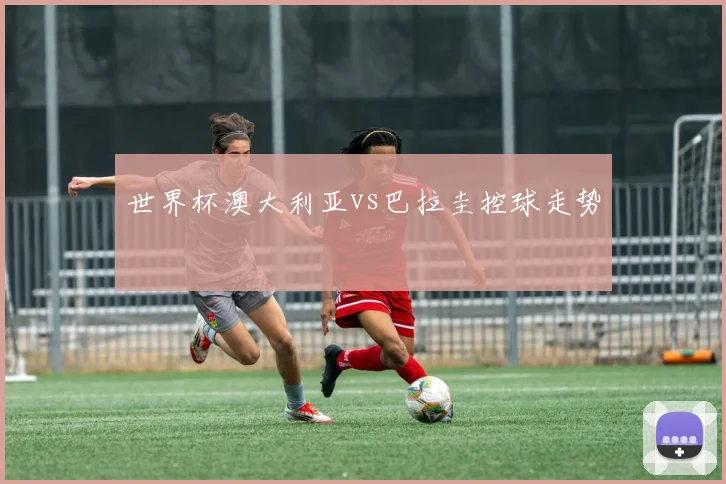 世界杯澳大利亚vs巴拉圭控球走势