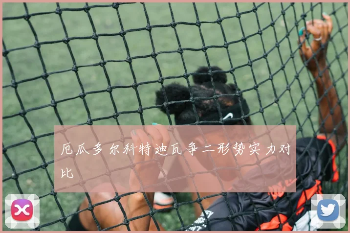 厄瓜多尔科特迪瓦争二形势实力对比