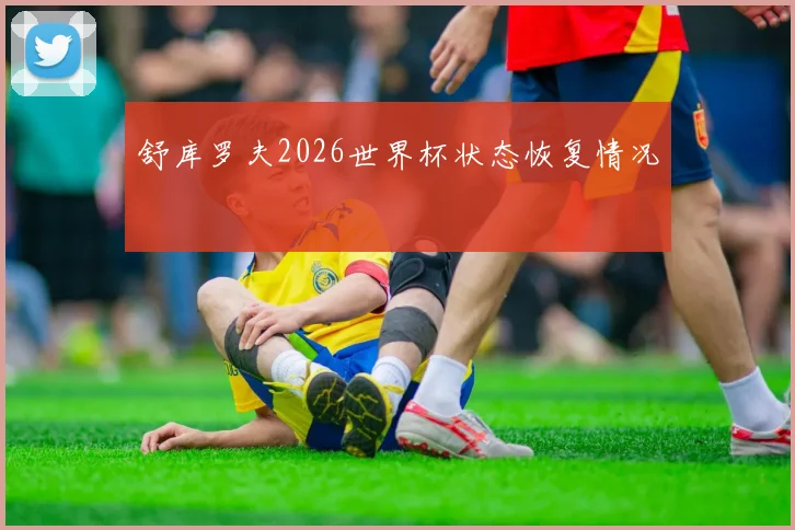 舒库罗夫2026世界杯状态恢复情况